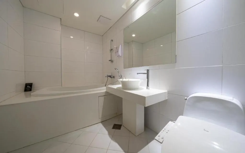 Hotel Lava Seocho Seoul 3*,  South Korea